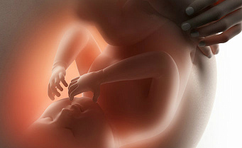 Инфекции беременных: взгляд изнутри